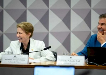 Tereza e Nelsinho abrem mão da CPI do Master para abrandar penas do 8 de Janeiro